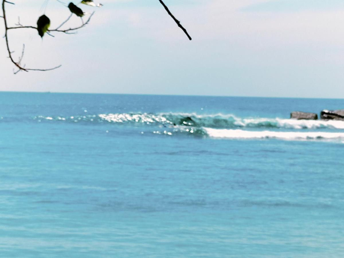 Secret Swell Hotel Tangalle Buitenkant foto